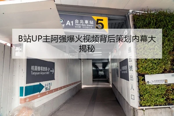 B站UP主阿强爆火视频背后策划内幕大揭秘